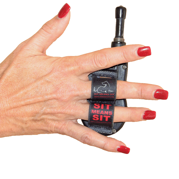 Lazy-Hands Sit Means Sit Remote Pack - Image 3