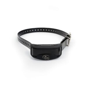 SportDOG Bark Collar