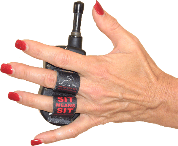 Lazy-Hands Sit Means Sit Remote Pack - Image 2