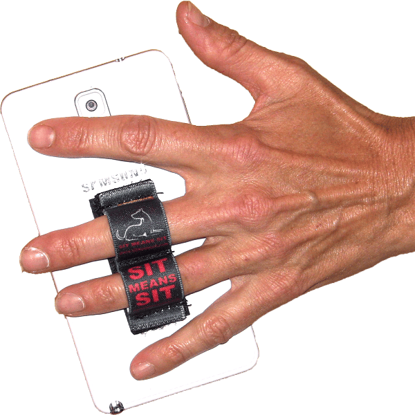 Lazy-Hands Sit Means Sit Remote Pack - Image 4