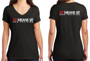 Women's District Perfect Tri V-Neck