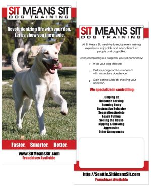 Sit Means Sit Brochure